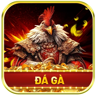 đá gà